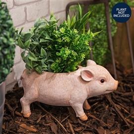 Farm Animals