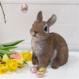 British Wildlife