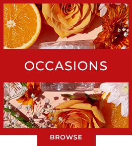 clearance wholesale occasions