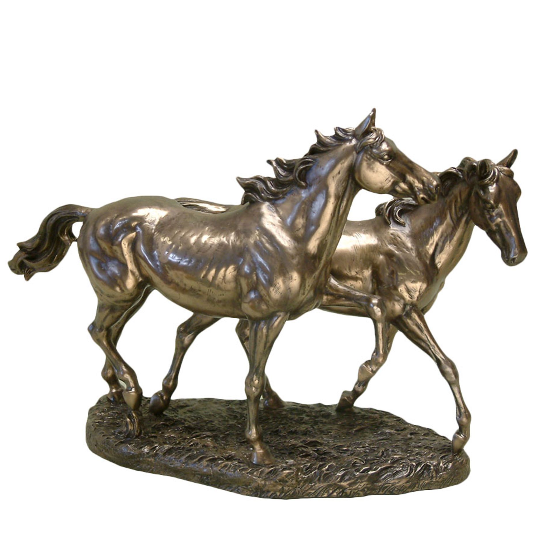 Shop Horses Wholesale Online UK Widdop and Co.