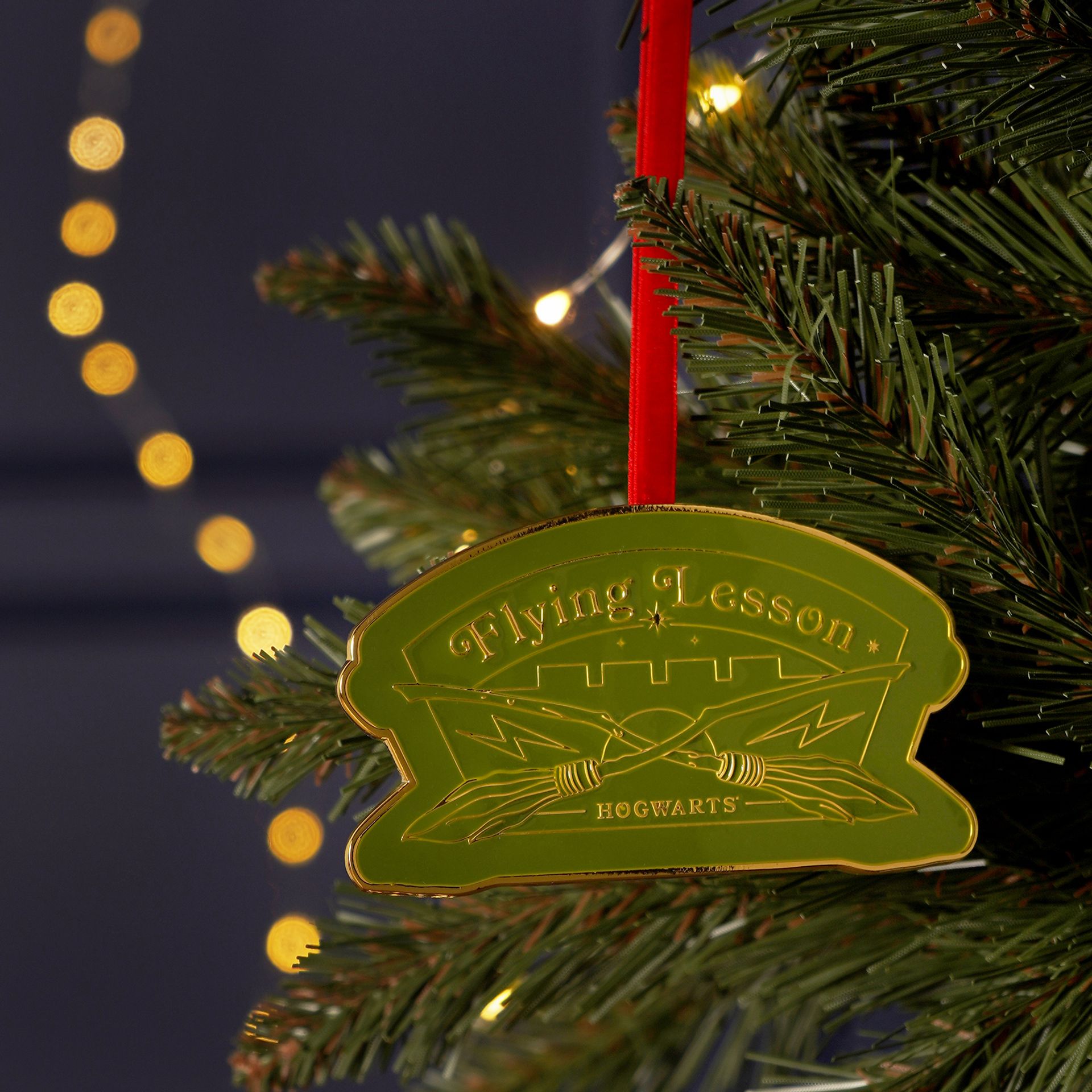 Harry Potter Alumni Metal Epoxy Hanging Dec - Flying Lessons