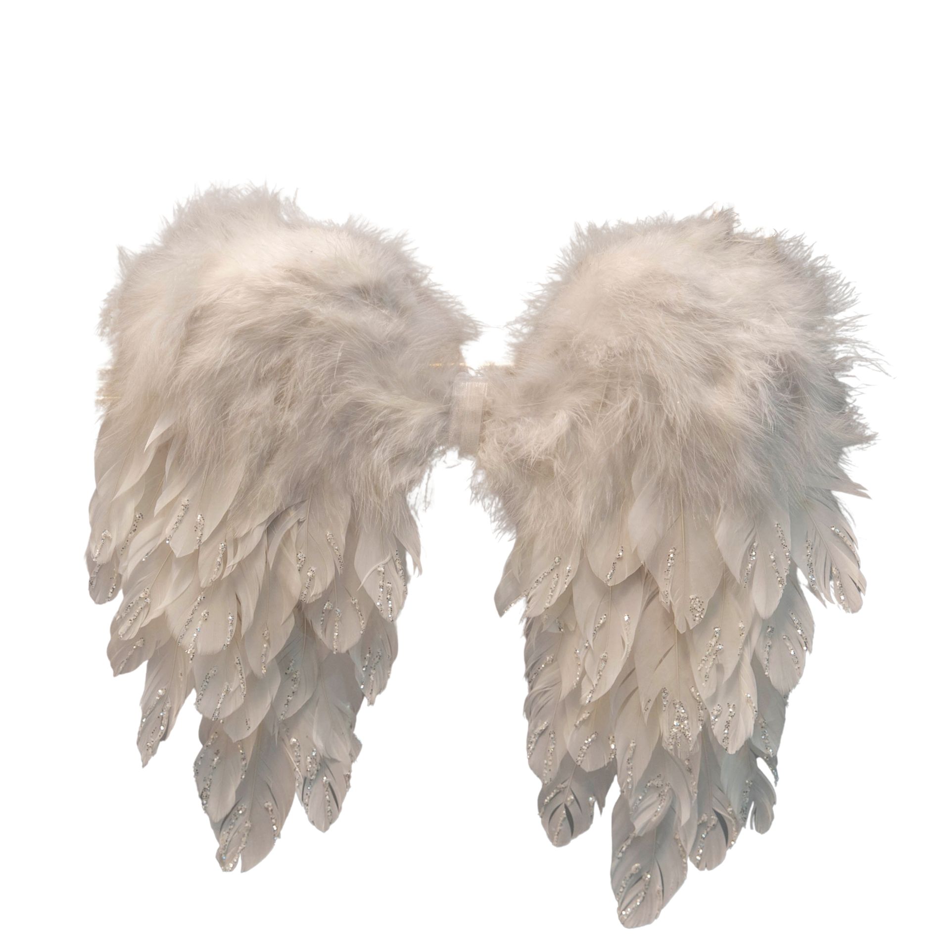 White Feather Kitchen Design Ltd - Modern Simple White Feather Photo